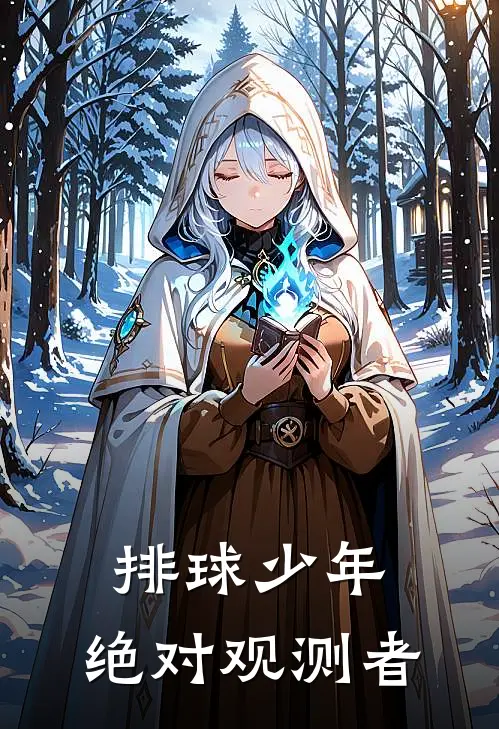 排球少年：绝对观测者